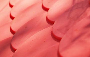 Green plastic roof costs