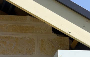soffit repair Green