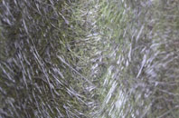 Green fibreglass roof work